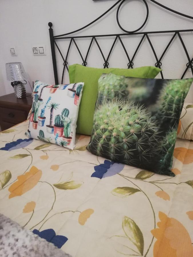 Apartamento Naturista En Primera Linea De Vera Playa!!! Las Bombardas Zewnętrze zdjęcie