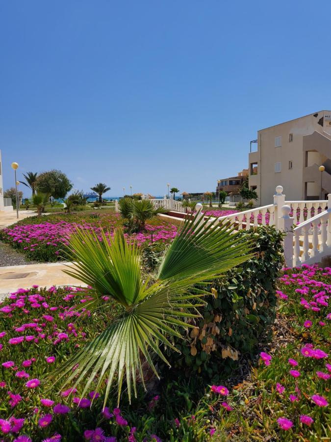 Apartamento Naturista En Primera Linea De Vera Playa!!! Las Bombardas Zewnętrze zdjęcie