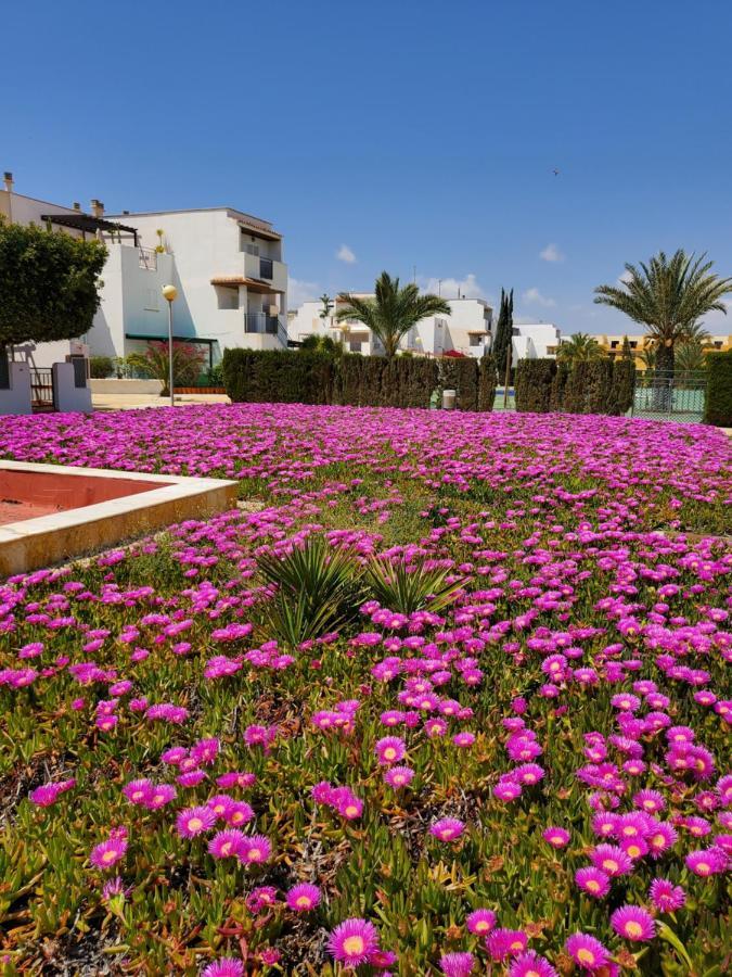 Apartamento Naturista En Primera Linea De Vera Playa!!! Las Bombardas Zewnętrze zdjęcie
